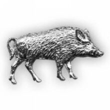 Odznak diviak strieborný – celý