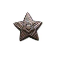 Odznak “hviezda ČSĽA” – mosadzná