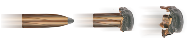 GECO 30-06 Spr. TM 11,0g, 20ks